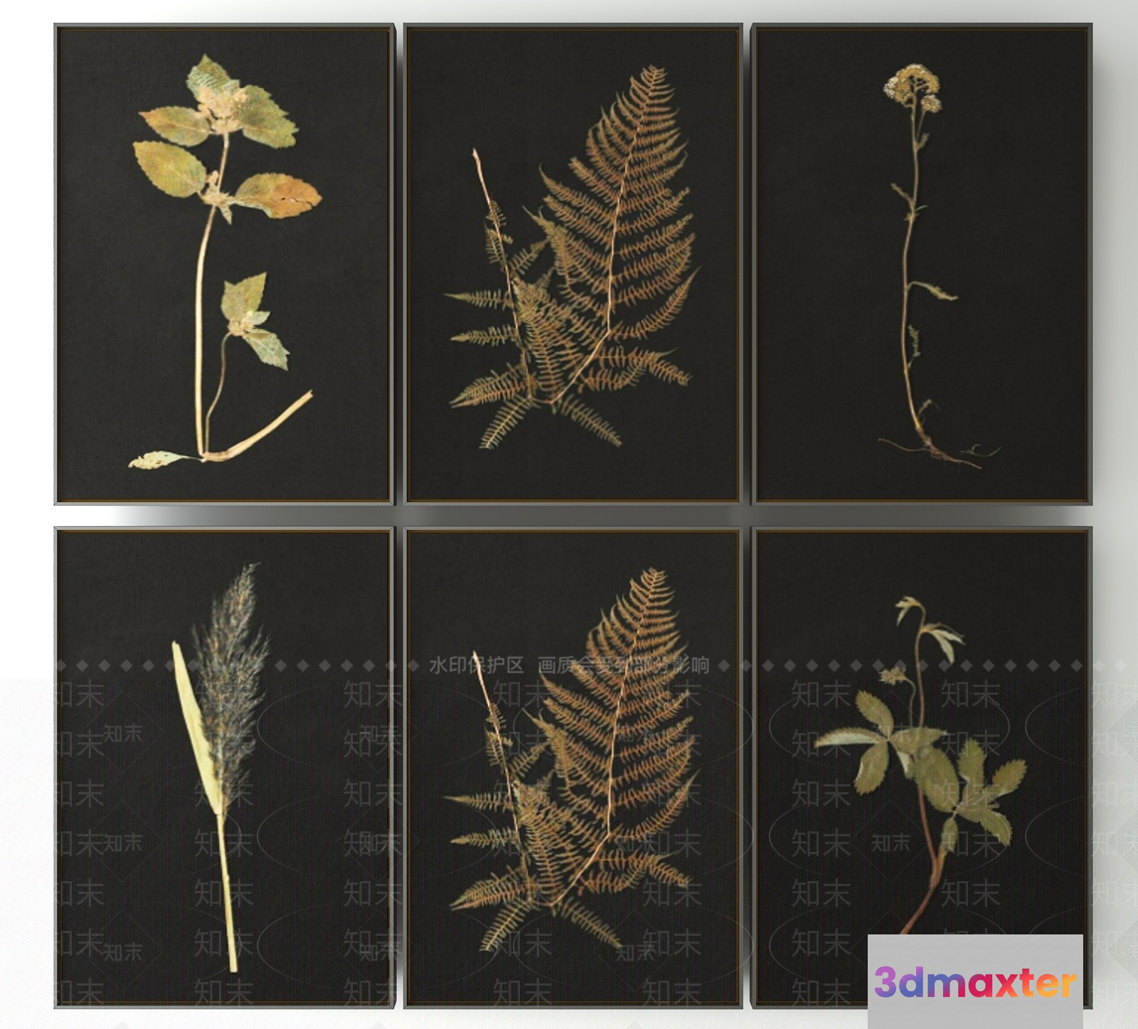 A Collection Of Six Nature-Themed Prints 3D Model - 22871 - VRAY Render