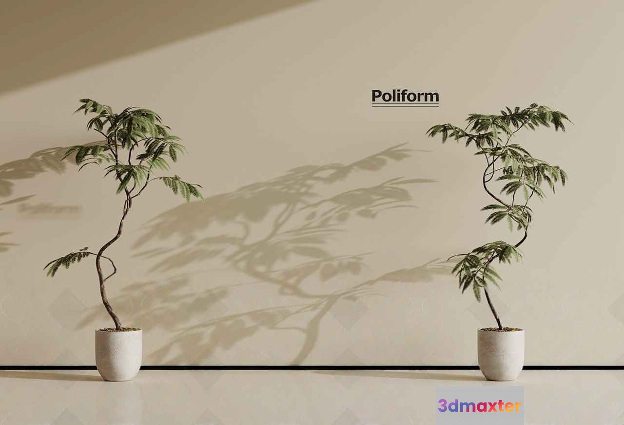 Two Potted Plants 3D Model - 6875 - VRAY Render
