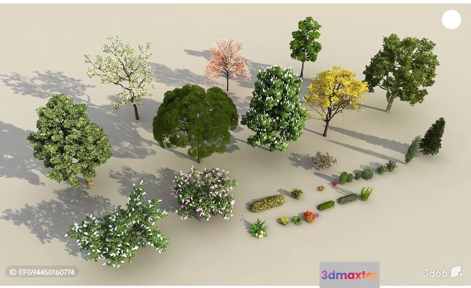 3D Render Of Trees 3D Model - 5282 - VRAY Render