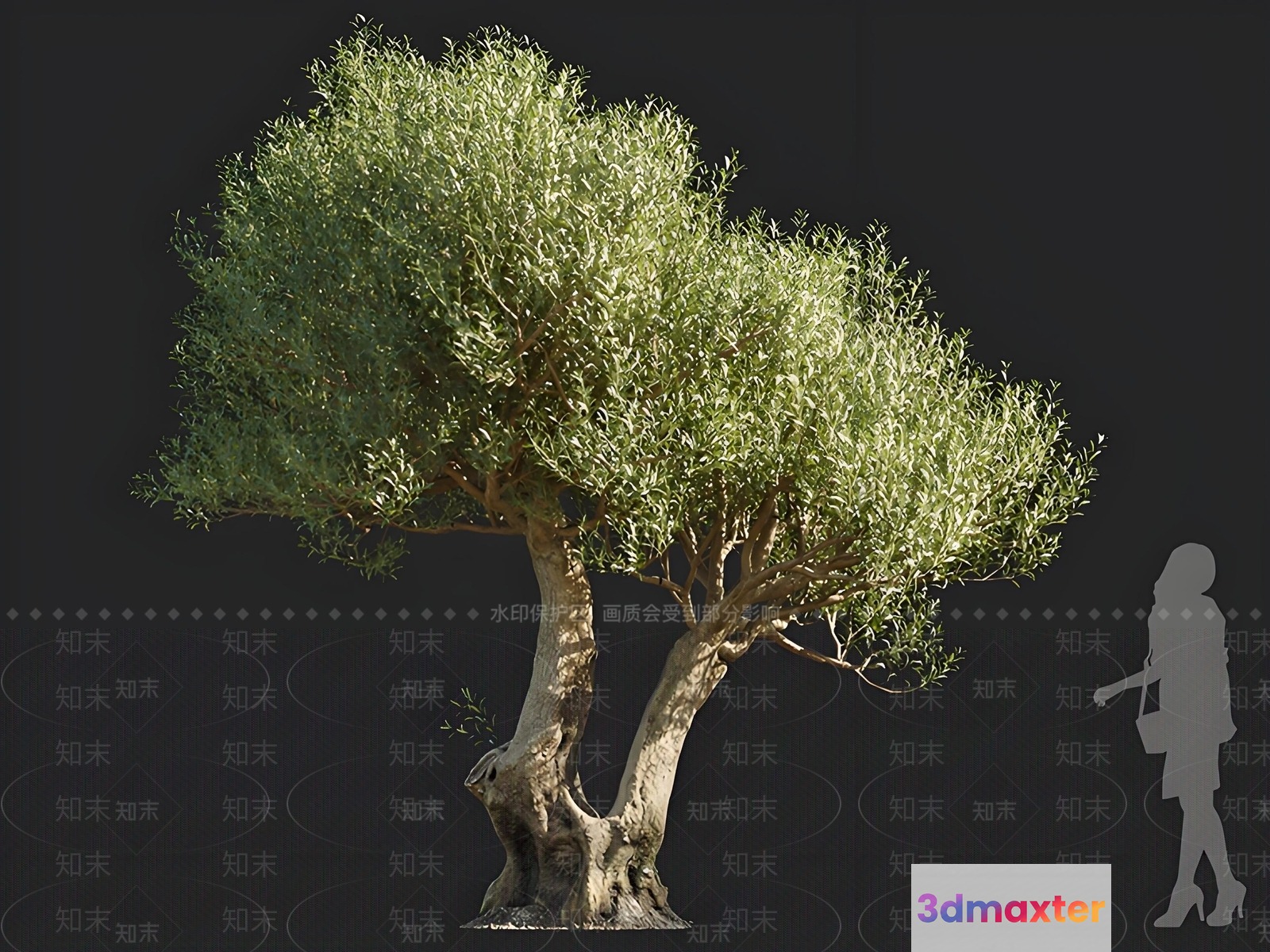 A Tree With A Woman Standing Beside It 3D Model - 15095 - VRAY Render