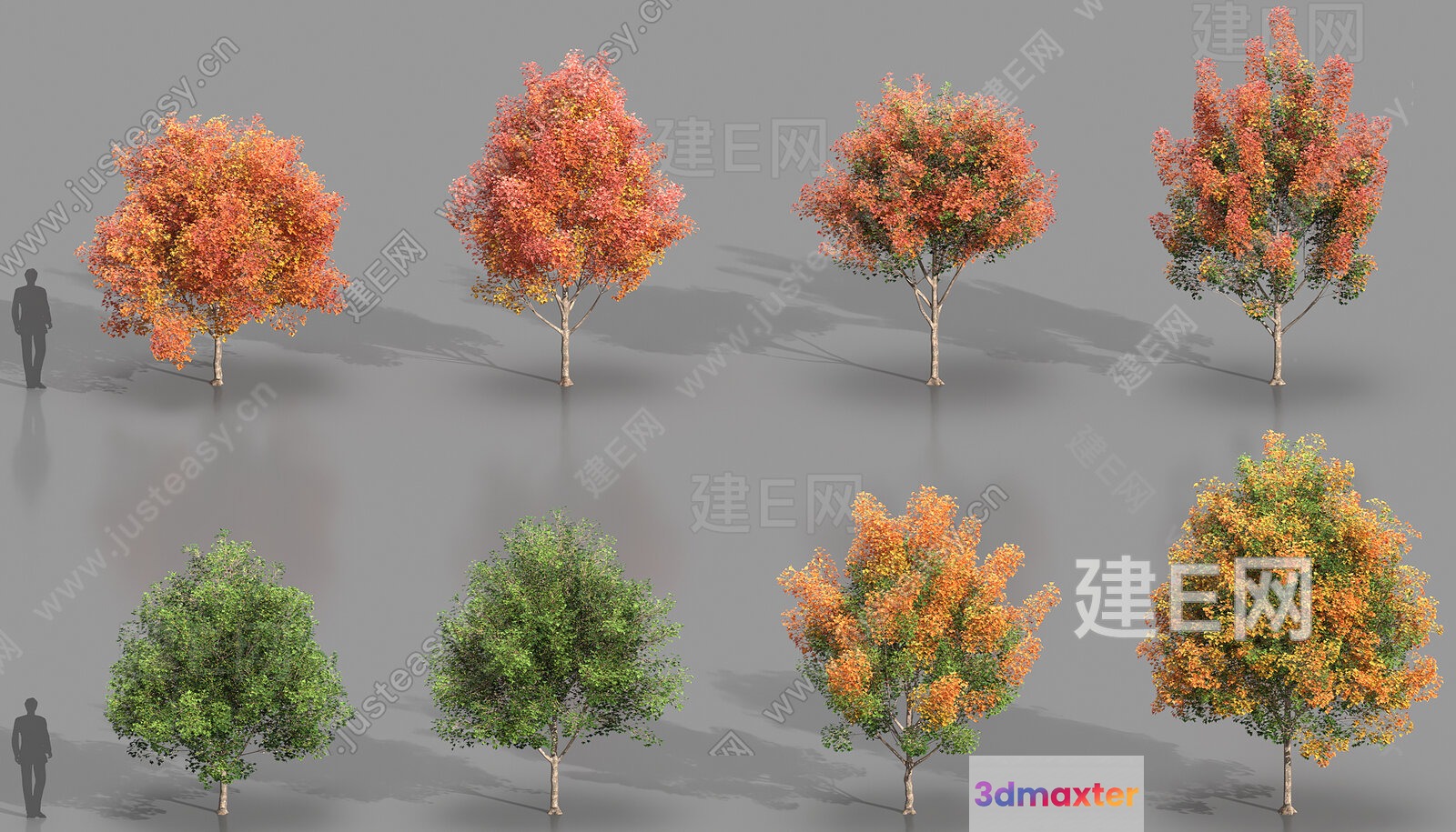A Tree With Yellow Leaves 3D Model - 3142 - VRAY Render