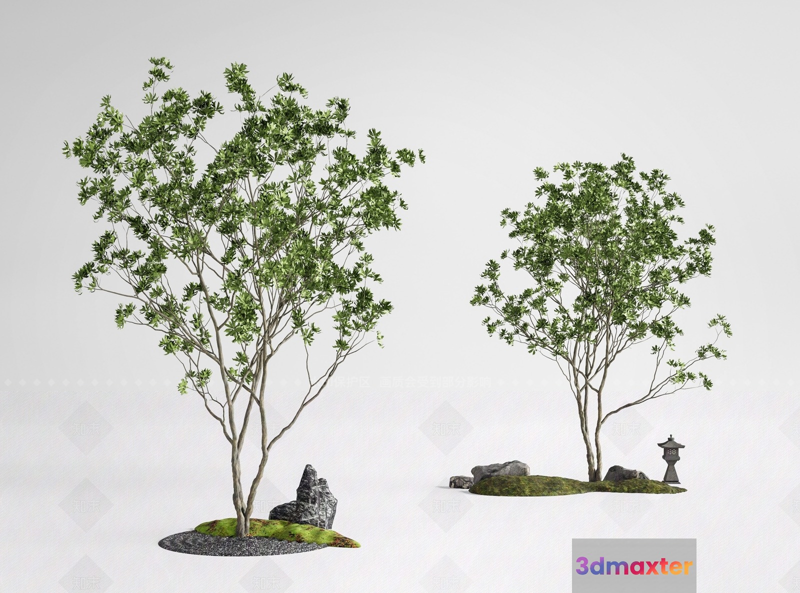 A Tree With Green Leaves 3D Model - 15777 - VRAY Render