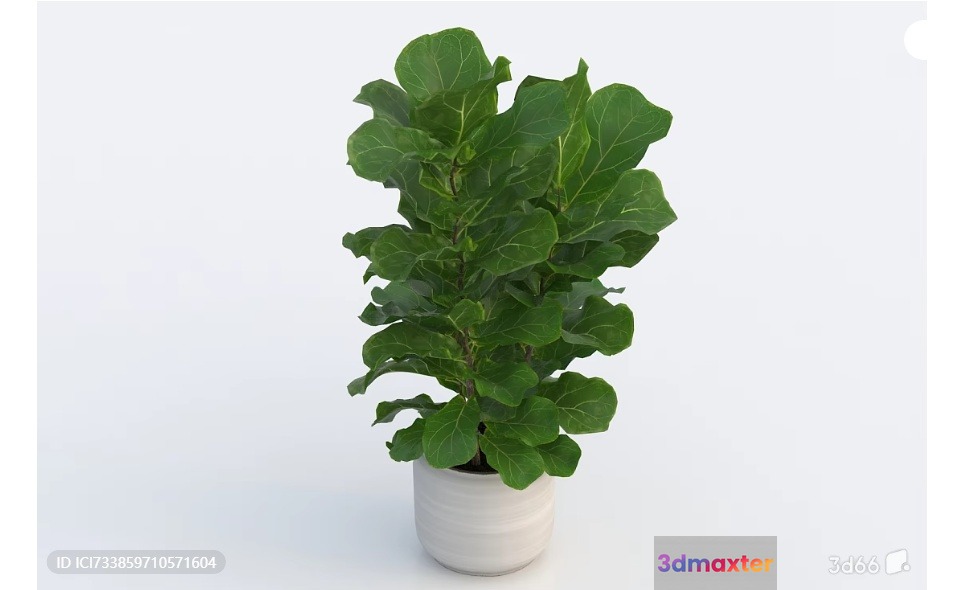 Green Plant In A Pot 3D Model - 13189 - VRAY Render