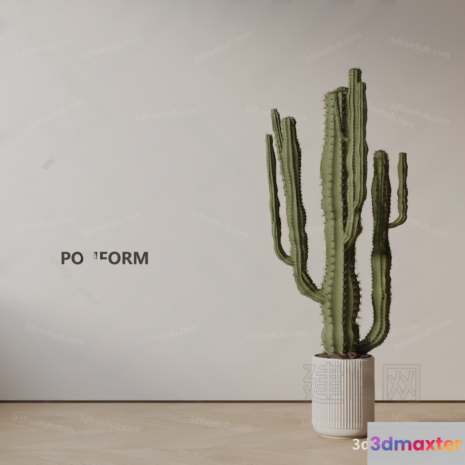 A Cactus In A White Pot 3D Model - 19401 - VRAY Render