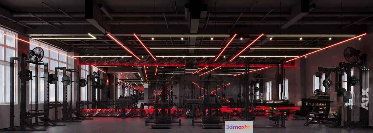 Modern Gym Equipment 3D Model - 10677 - CORONA Render