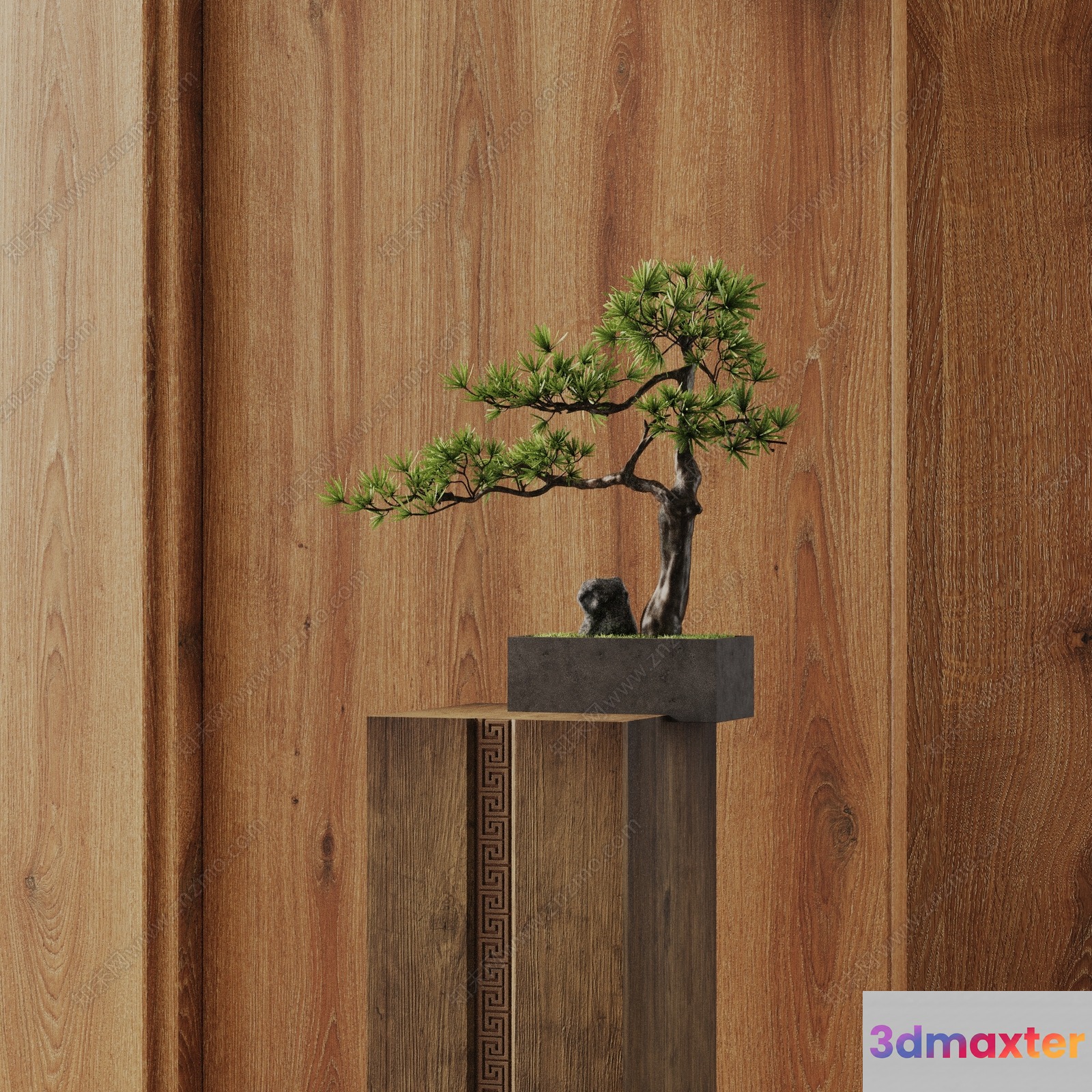 A Small Tree In A Pot 3D Model - 22526 - VRAY Render