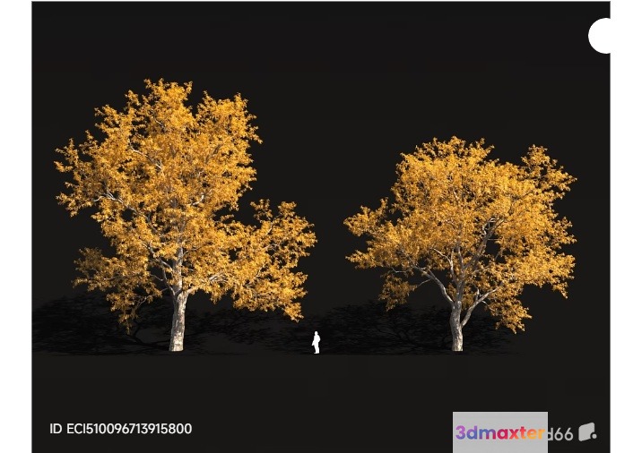 The Main Subject Is Two Trees With Yellow Leaves 3D Model - 17538 - VRAY Render