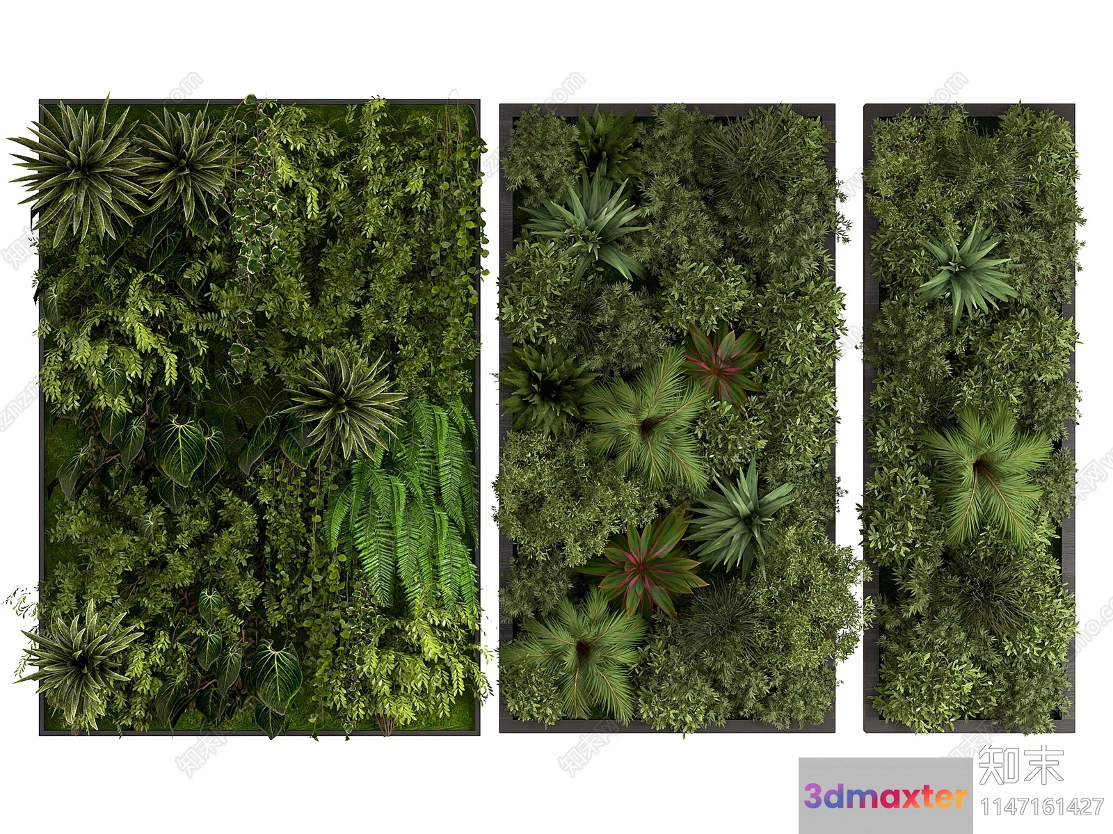 Green Wall Artwork 3D Model - 8153 - VRAY Render