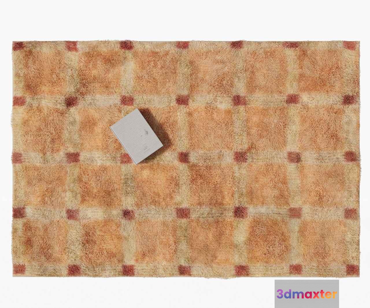 A Rectangular Rug With A Grid Pattern 3D Model - 9094 - VRAY Render