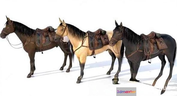 Three Saddled Horses 3D Model - 20932 - VRAY Render