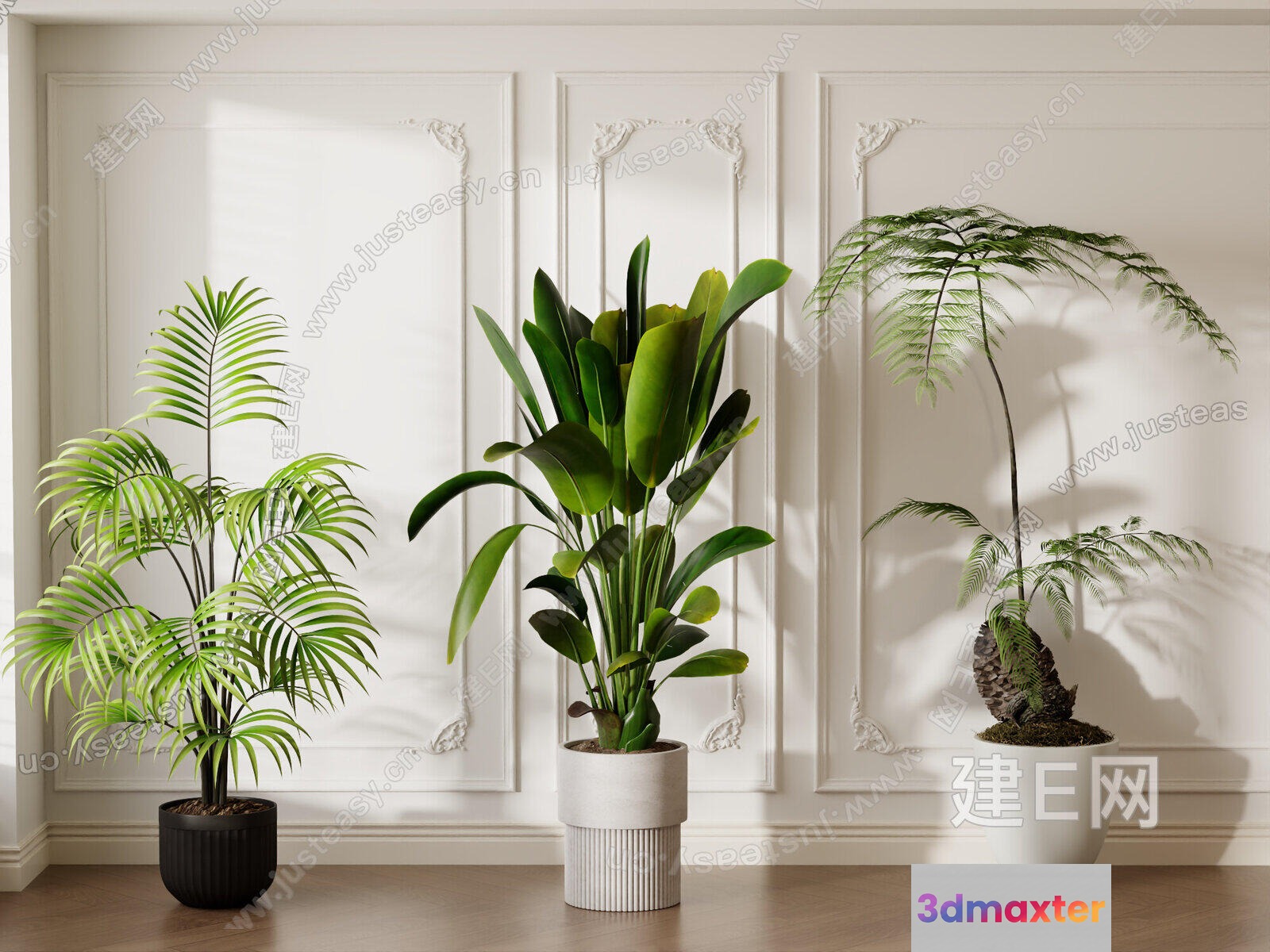 Three Potted Plants 3D Model - 15728 - VRAY Render