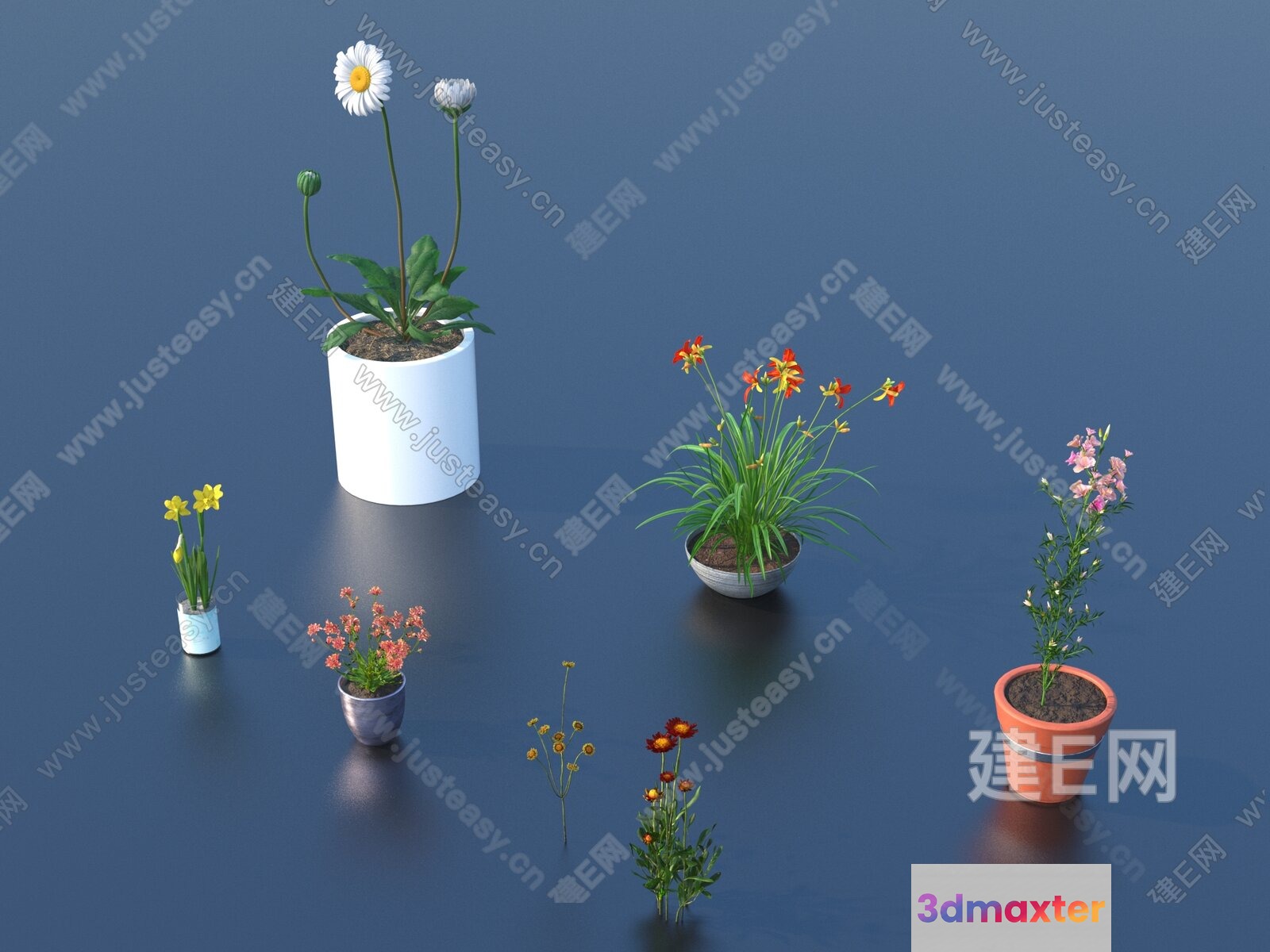 The Single Main Subject Is A Collection Of Flowers In Pots 3D Model - 2714 - VRAY Render