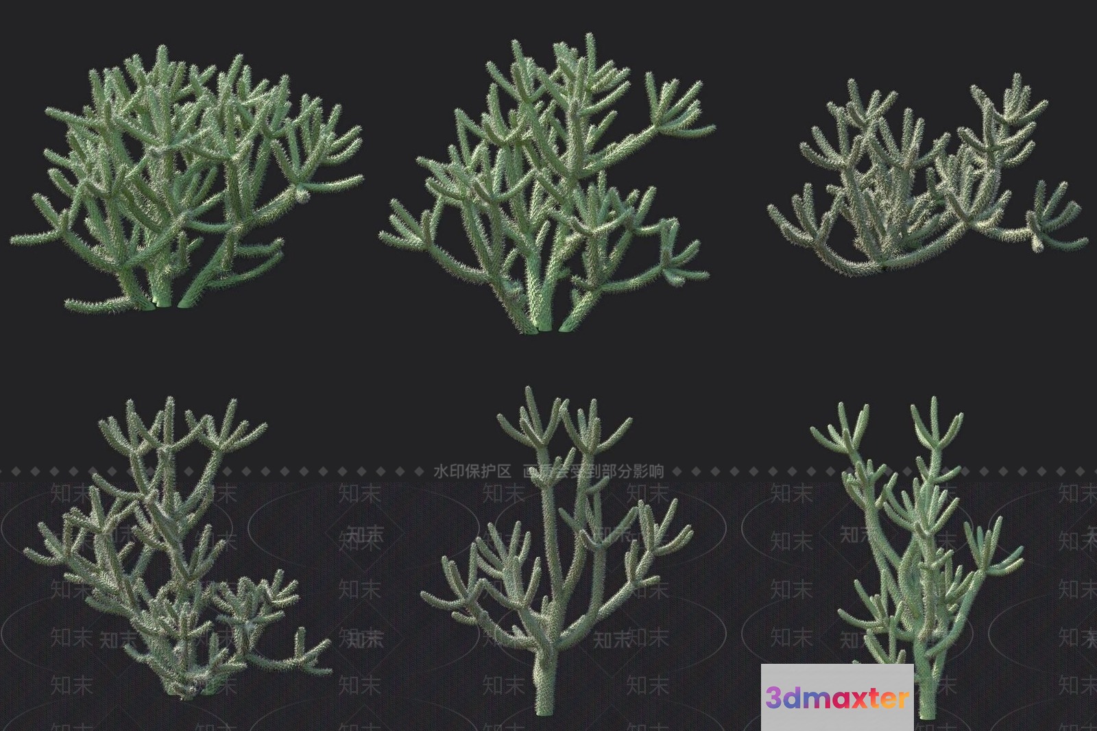 A Green Plant 3D Model - 16607 - VRAY Render