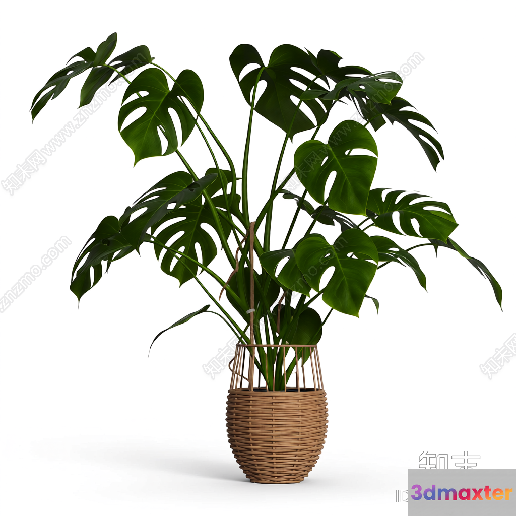 A Potted Plant With Green Leaves 3D Model - 4401 - VRAY Render