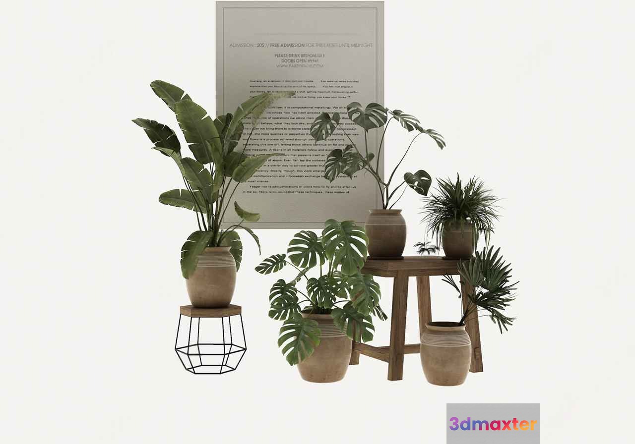 Modern Indoor Plants 3D Model - 10587 - VRAY Render
