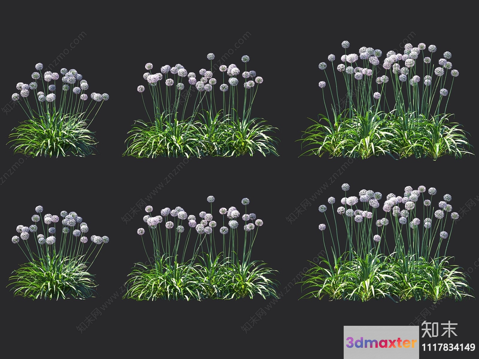 Flowers And Grass 3D Model - 9026 - VRAY Render