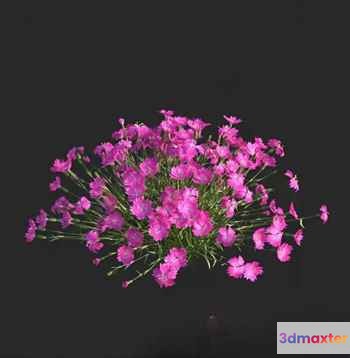 Pink Flower Arrangement 3D Model - 14257 - VRAY Render