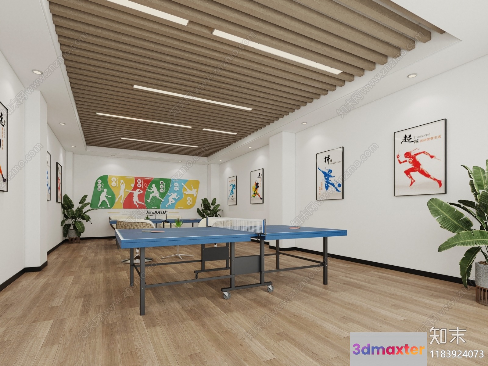 A Modern Indoor Sports Room 3D Model - 13554 - VRAY Render