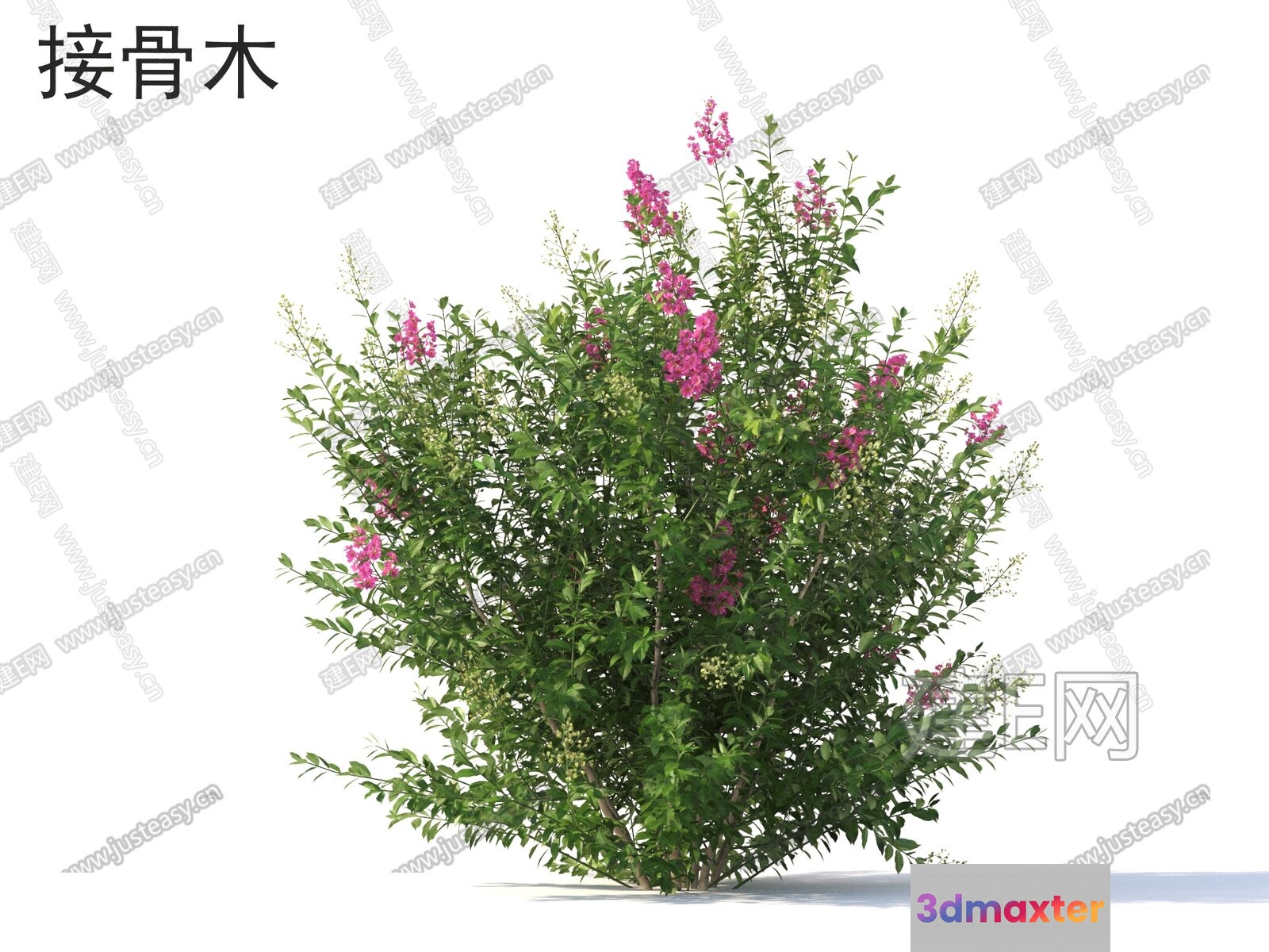 A Bush With Pink Flowers 3D Model - 3740 - VRAY Render