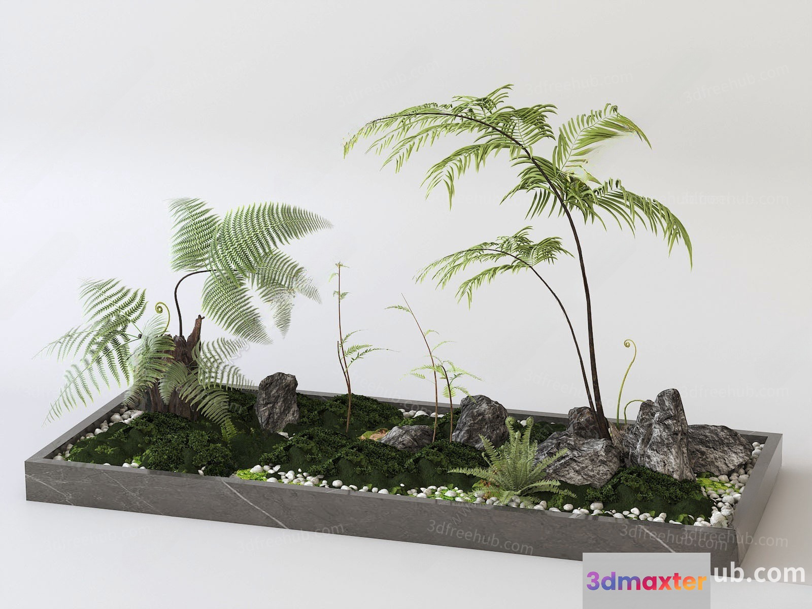 A 3D Model Of A Rectangular Garden Bed With Plants And Rocks 3D Model - 22227 - VRAY Render
