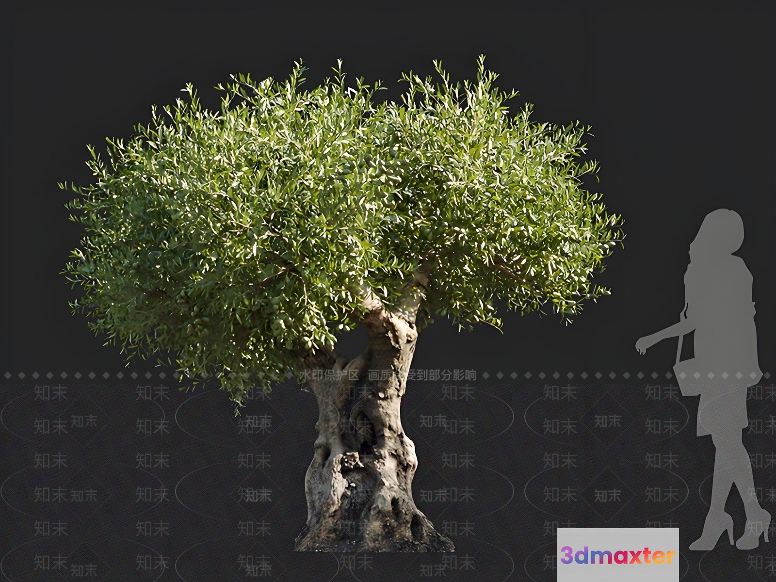 A Woman Walking 3D Model - 11206 - VRAY Render