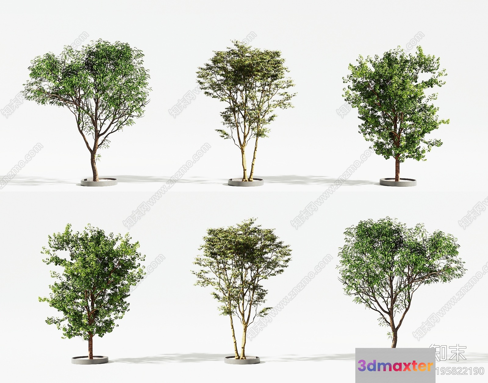 A Tree In A Pot 3D Model - 618 - CORONA Render