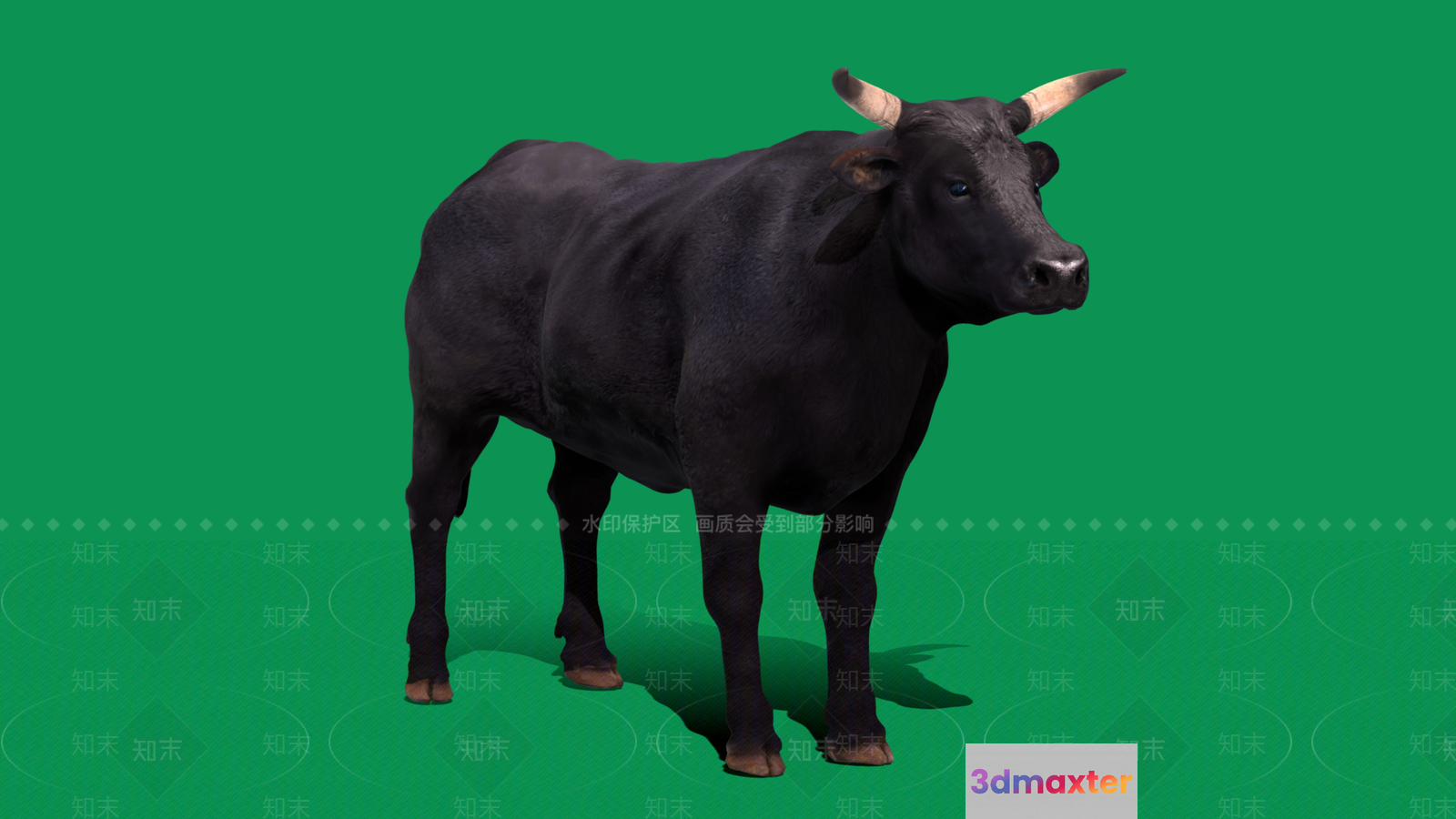 A Black Bull With Tan Horns 3D Model - 3191 - VRAY Render
