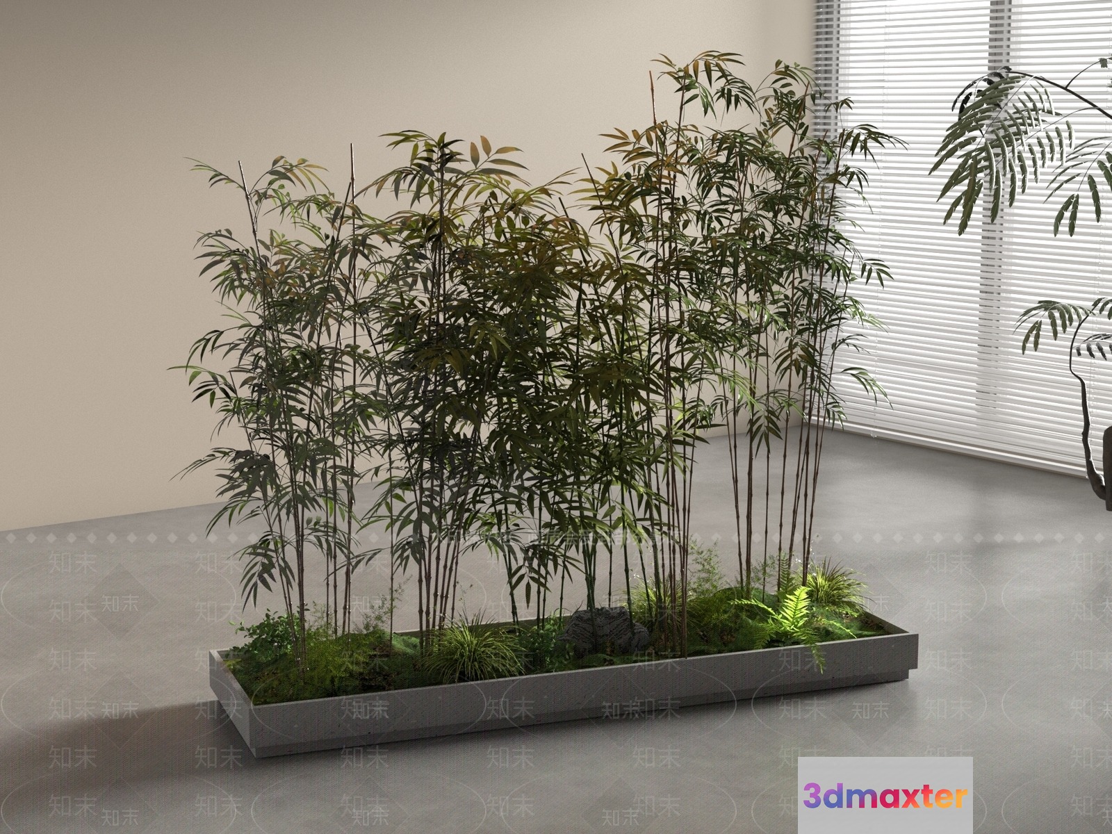 A Rectangular Planter With Plants 3D Model - 18274 - VRAY Render