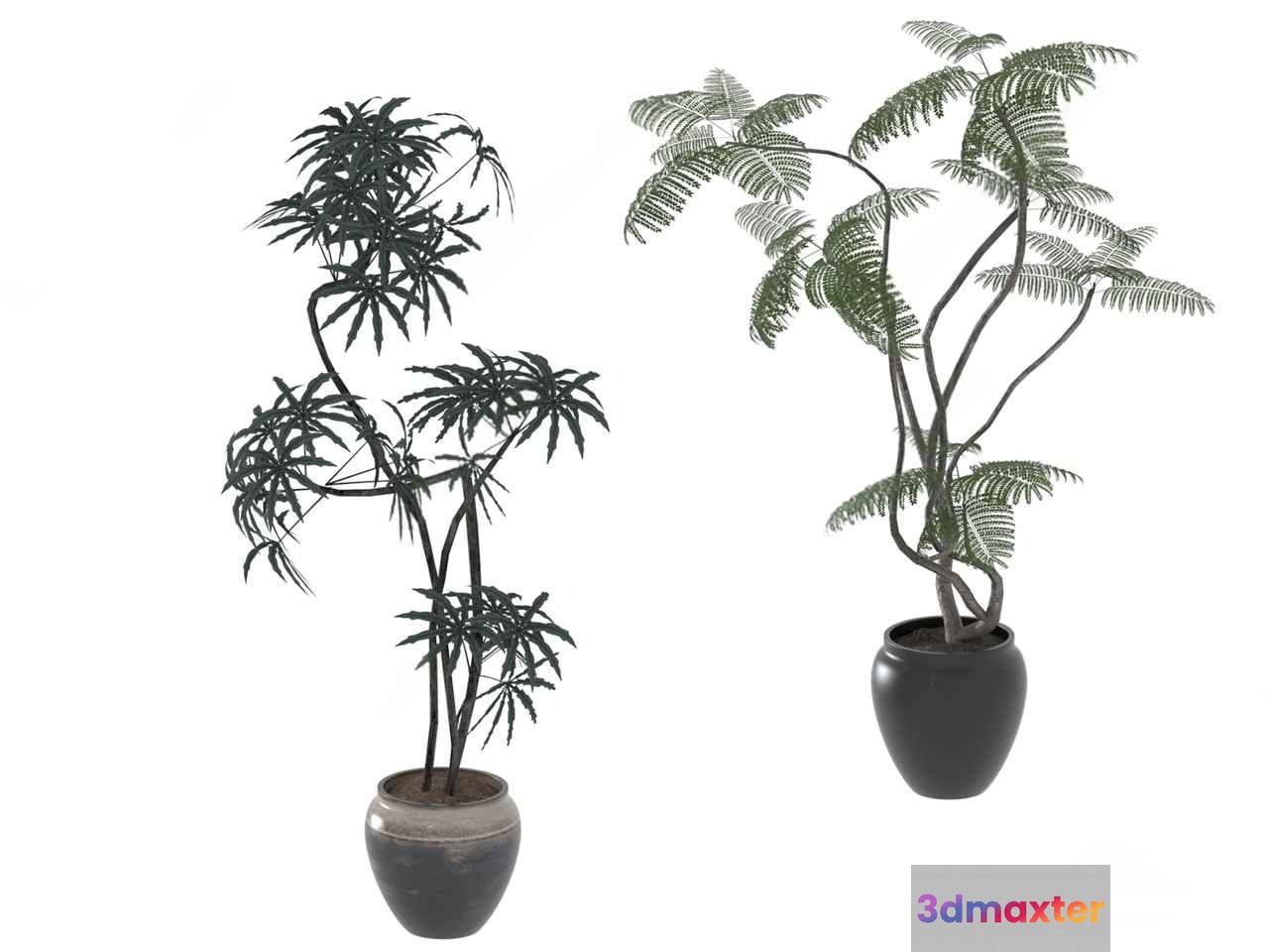 Two Potted Plants 3D Model - 2190 - VRAY Render