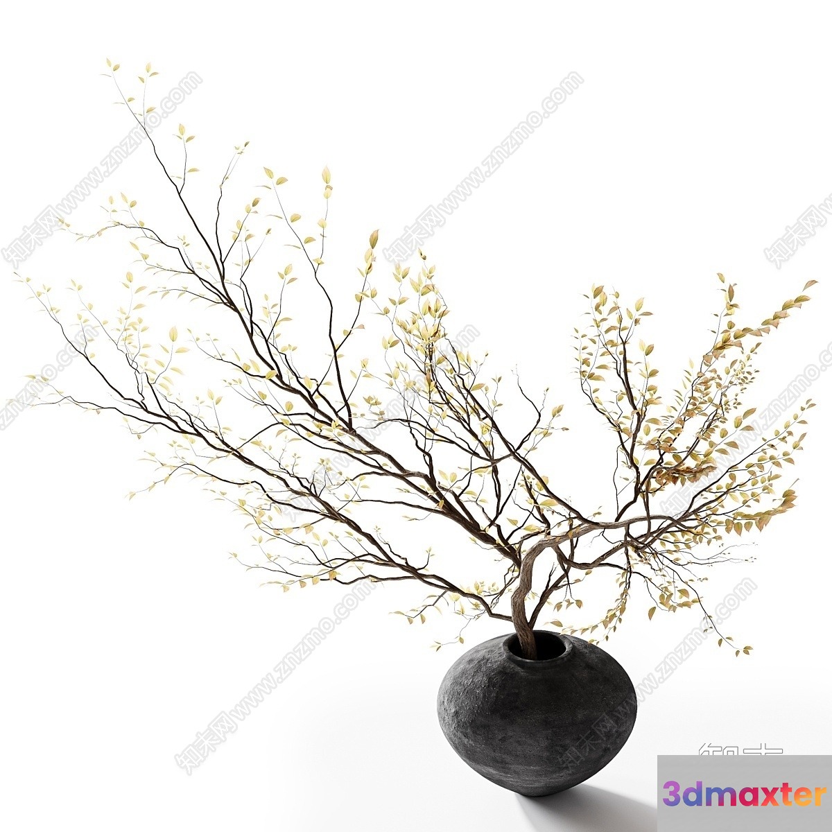 A Tree In A Vase 3D Model - 23738 - VRAY Render