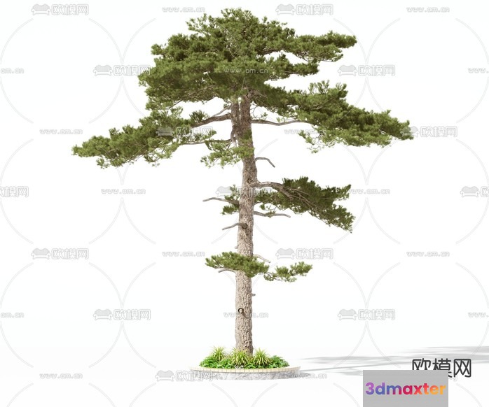 A Tree With Green Leaves 3D Model - 20071 - VRAY Render