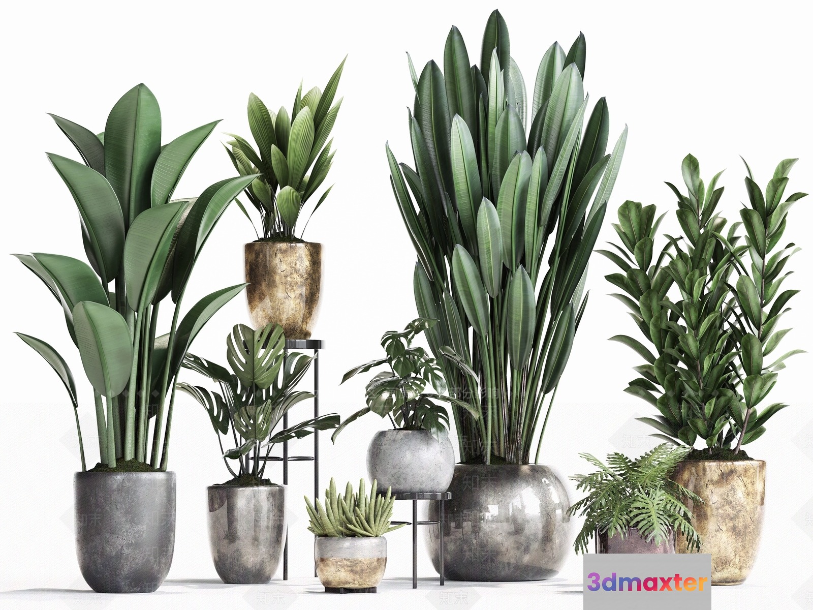 Plants In Pots 3D Model - 10659 - VRAY Render