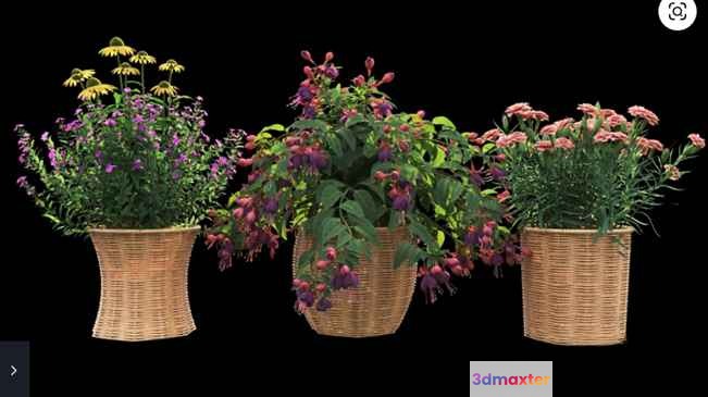 Three Woven Baskets 3D Model - 16550 - VRAY Render