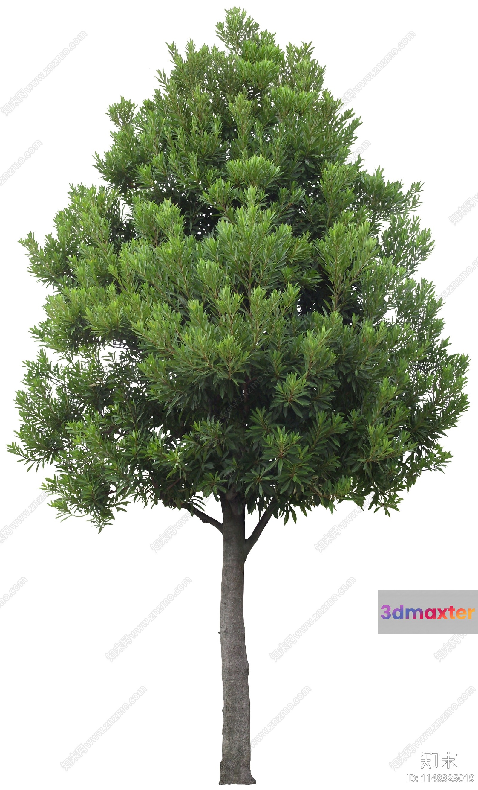A Tree 3D Model - 1185 - VRAY Render