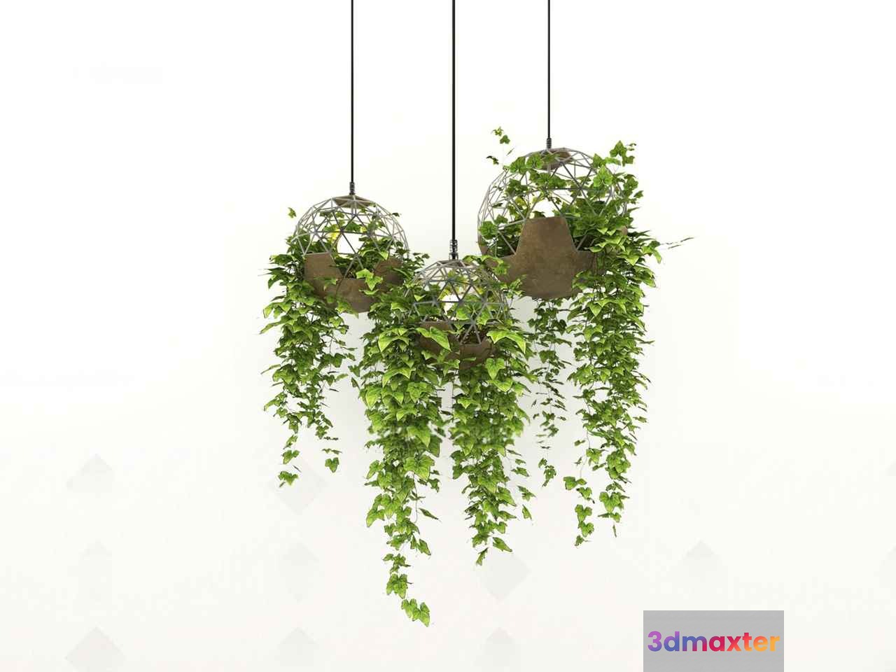 Three Hanging Planters 3D Model - 348 - VRAY Render