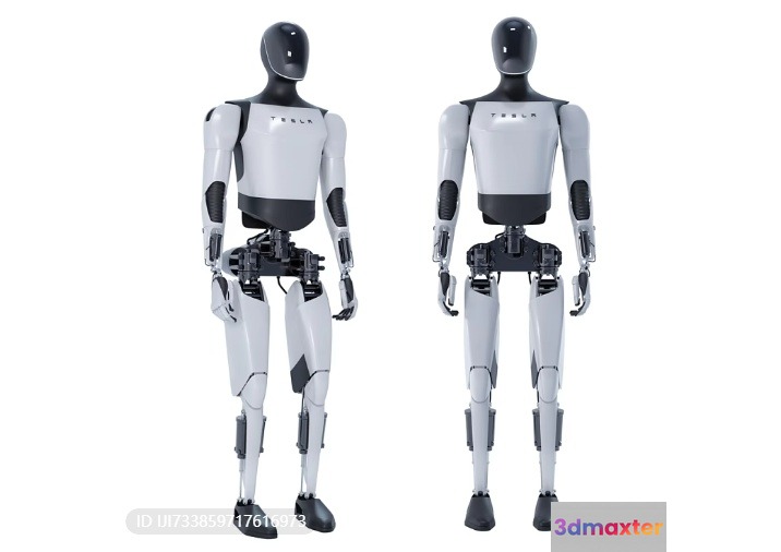 Two Tesla Humanoid Robots 3D Model - 15977 - VRAY Render