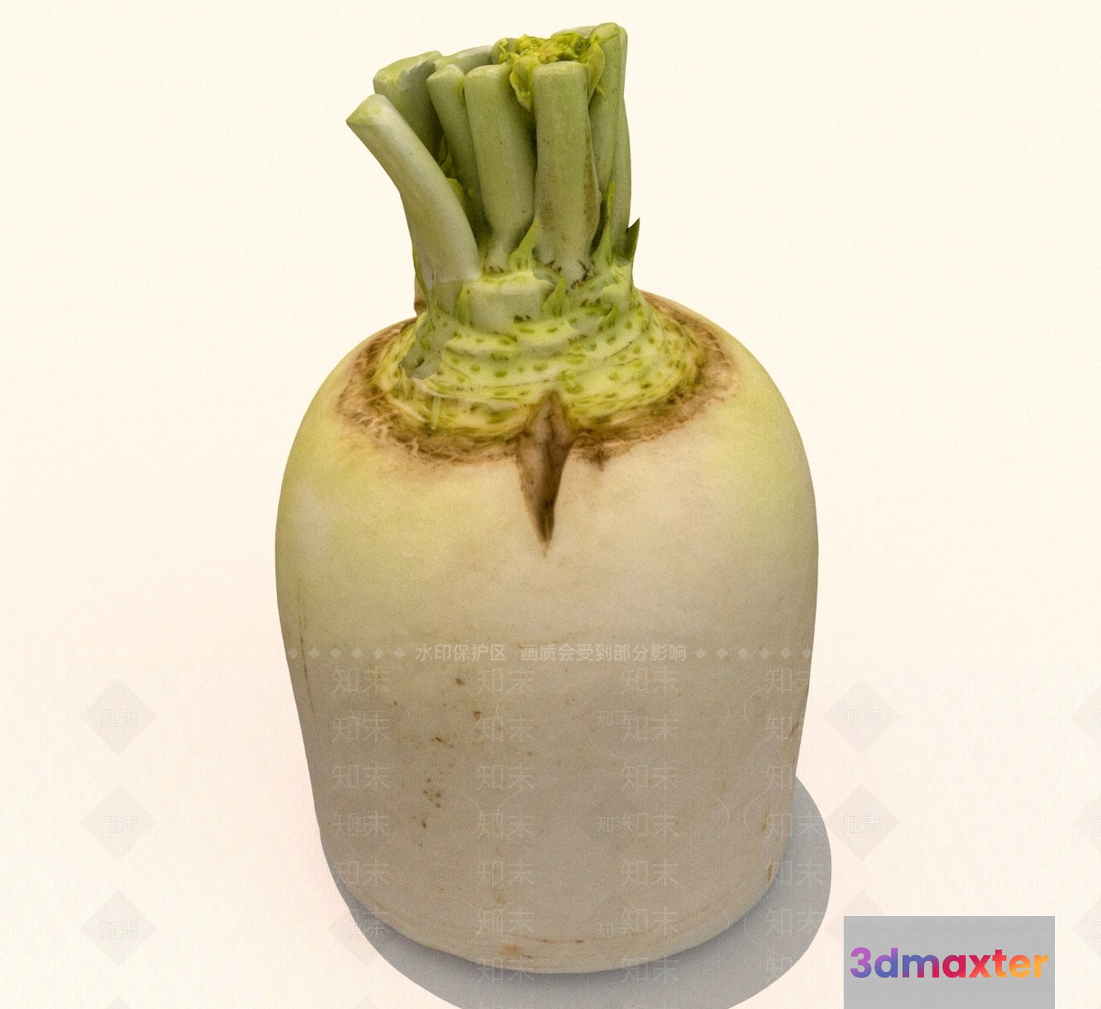 A White Vegetable 3D Model - 12761 - VRAY Render