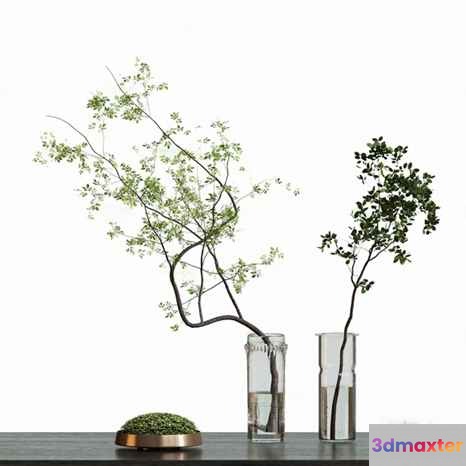 Two Vases With Branches 3D Model - 11640 - CORONA Render