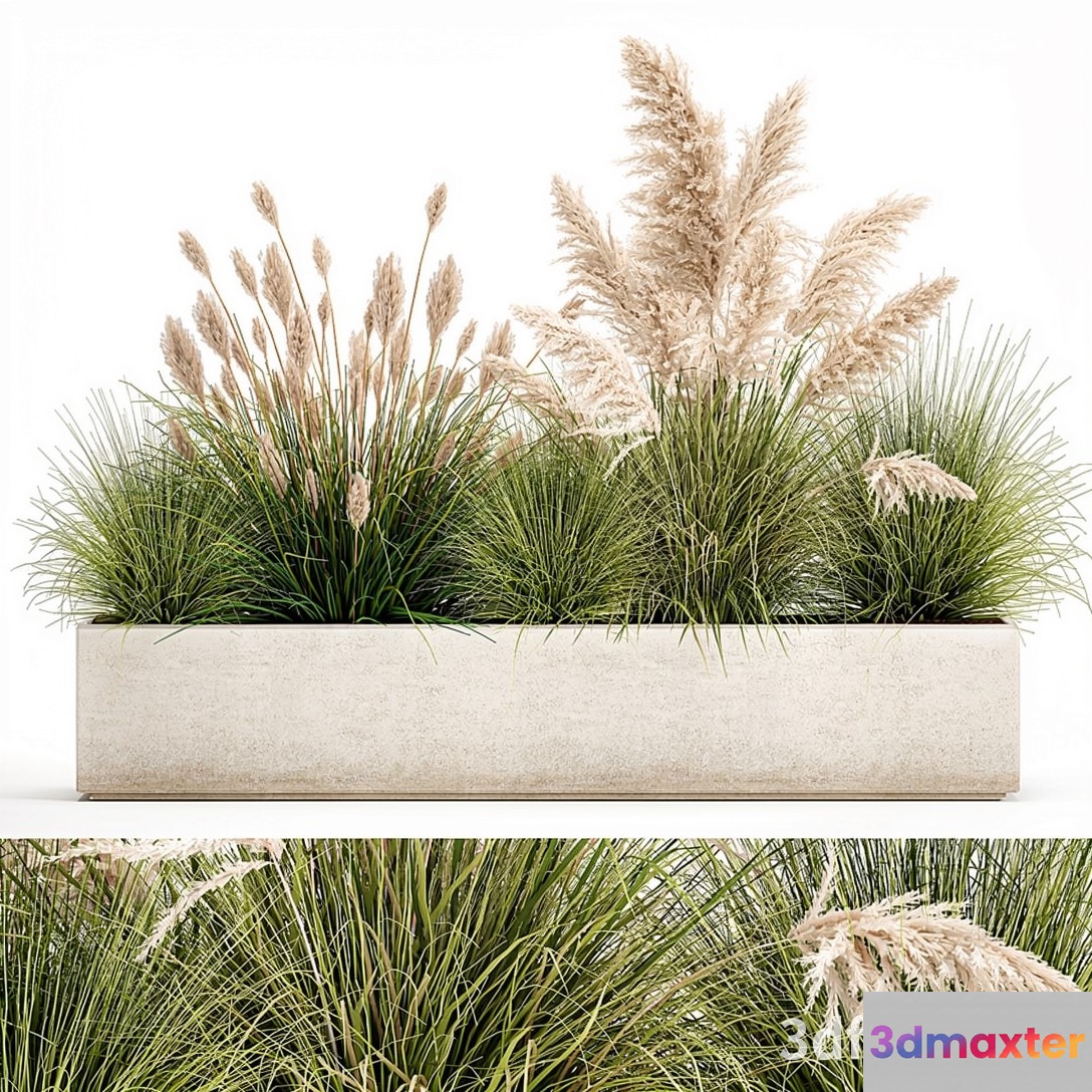 A Rectangular Planter With Grasses 3D Model - 20903 - VRAY Render