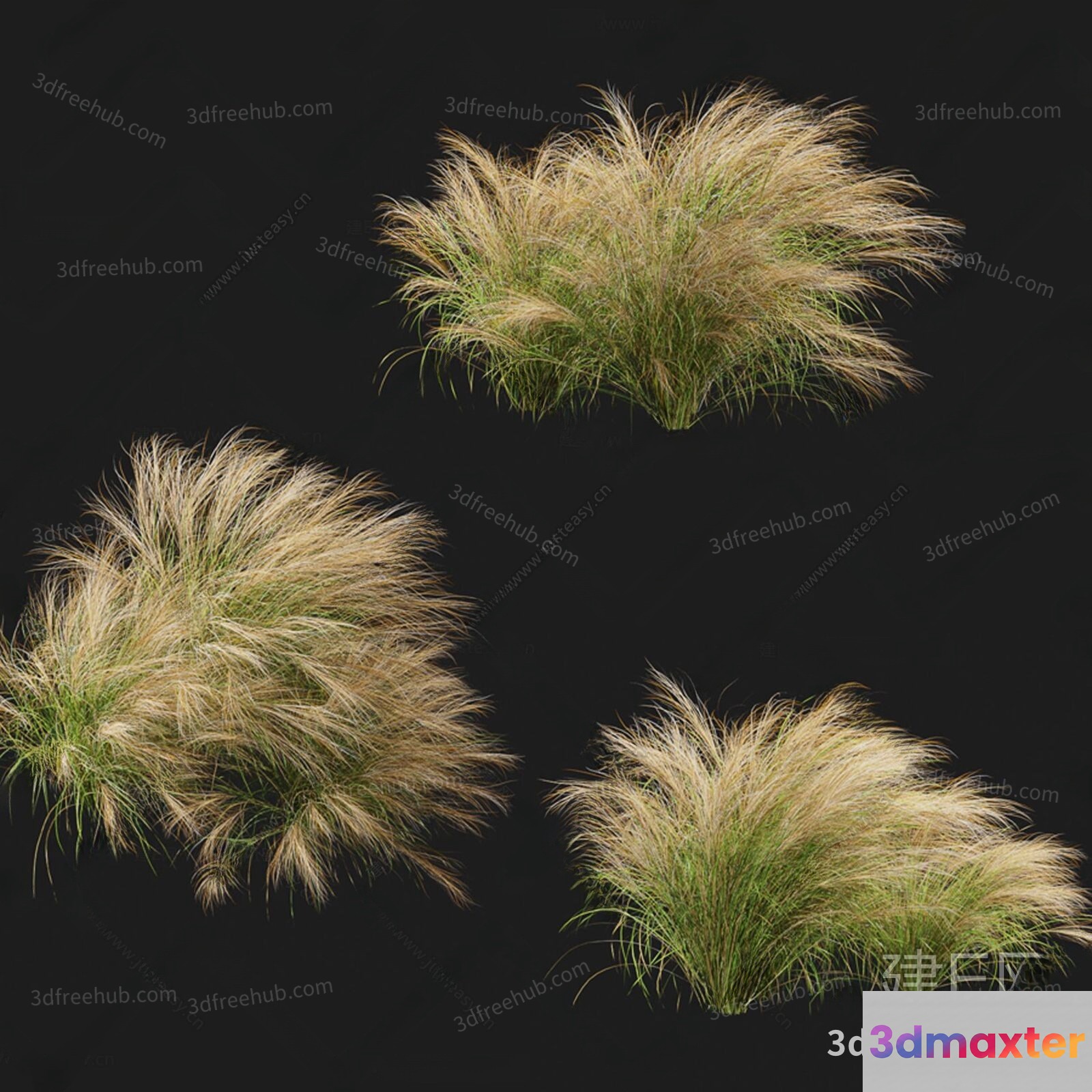 Tall Grass In A Field 3D Model - 18686 - VRAY Render