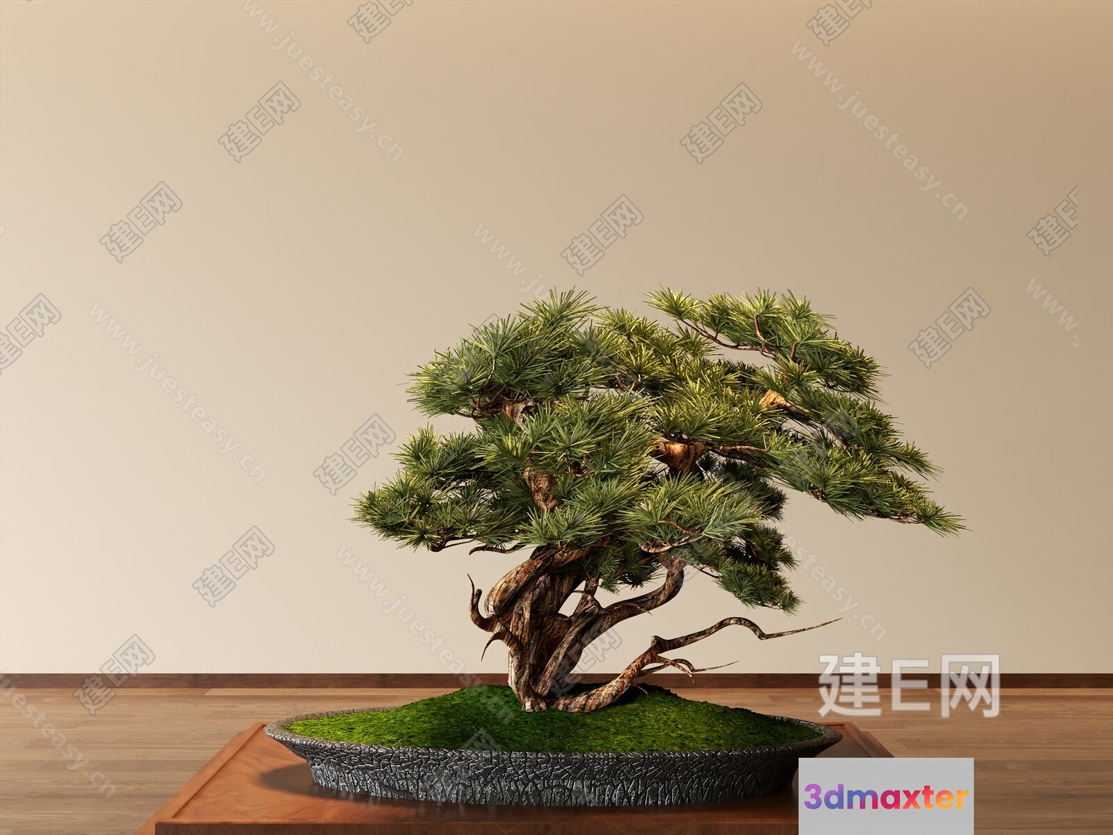 A Bonsai Tree 3D Model - 21357 - VRAY Render