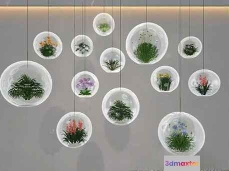 Glass Plant Terrariums 3D Model - 19522 - VRAY Render