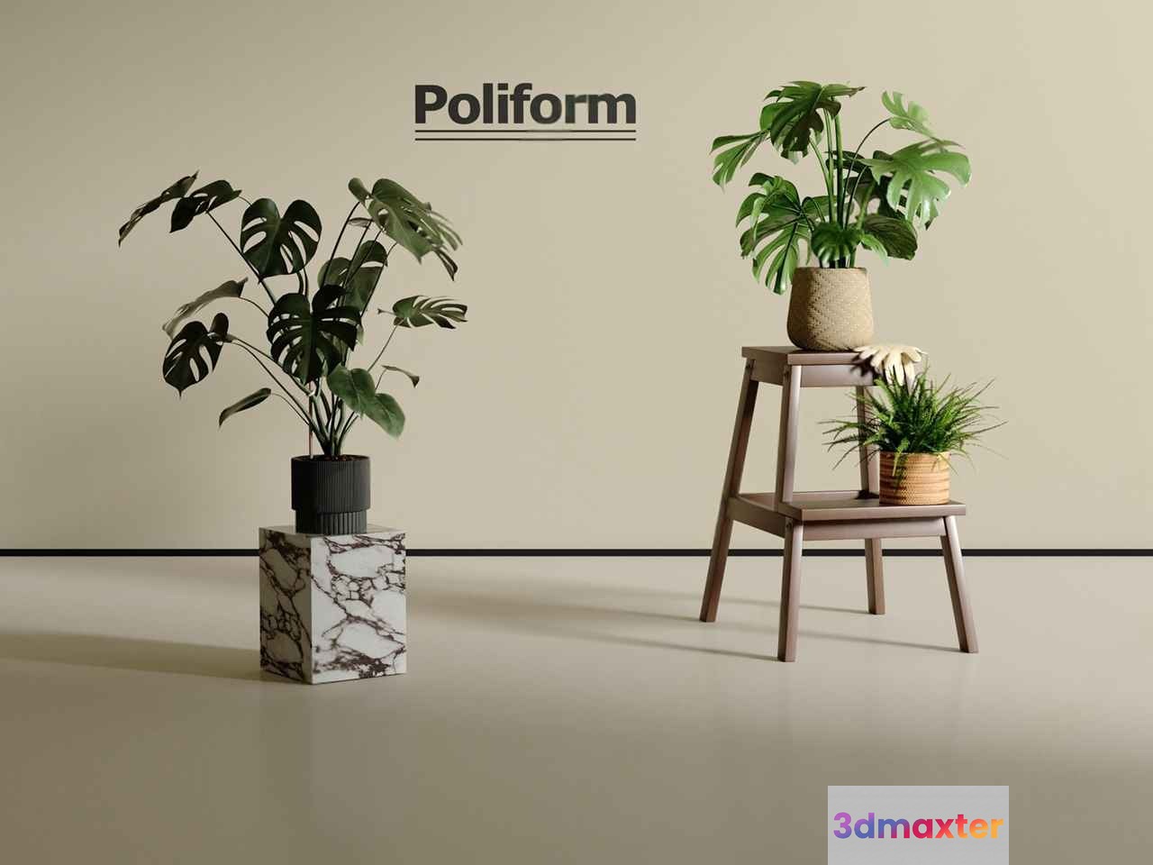 Modern Indoor Plants 3D Model - 8684 - CORONA Render