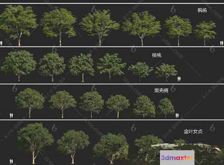 Trees With Green Leaves 3D Model - 10446 - VRAY Render