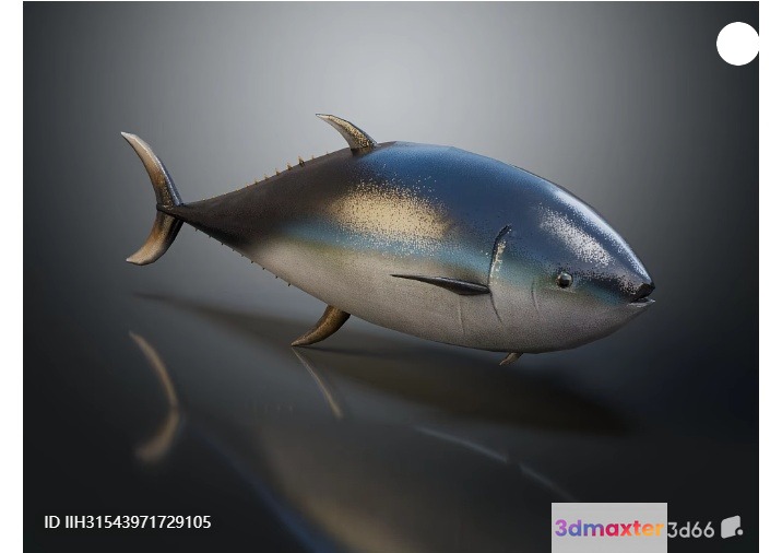 3D Model Of A Fish 3D Model - 8943 - VRAY Render