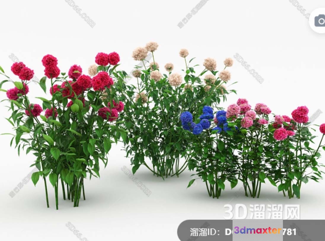 A Bouquet Of Flowers 3D Model - 18460 - VRAY Render
