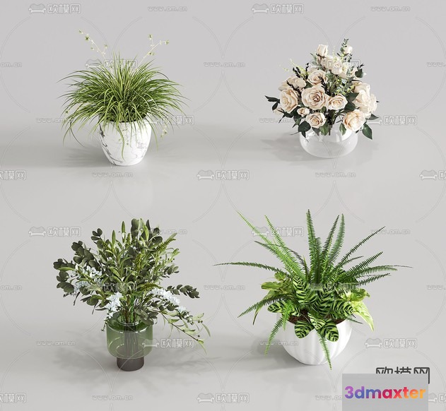 A Collection Of Potted Plants 3D Model - 22155 - VRAY Render