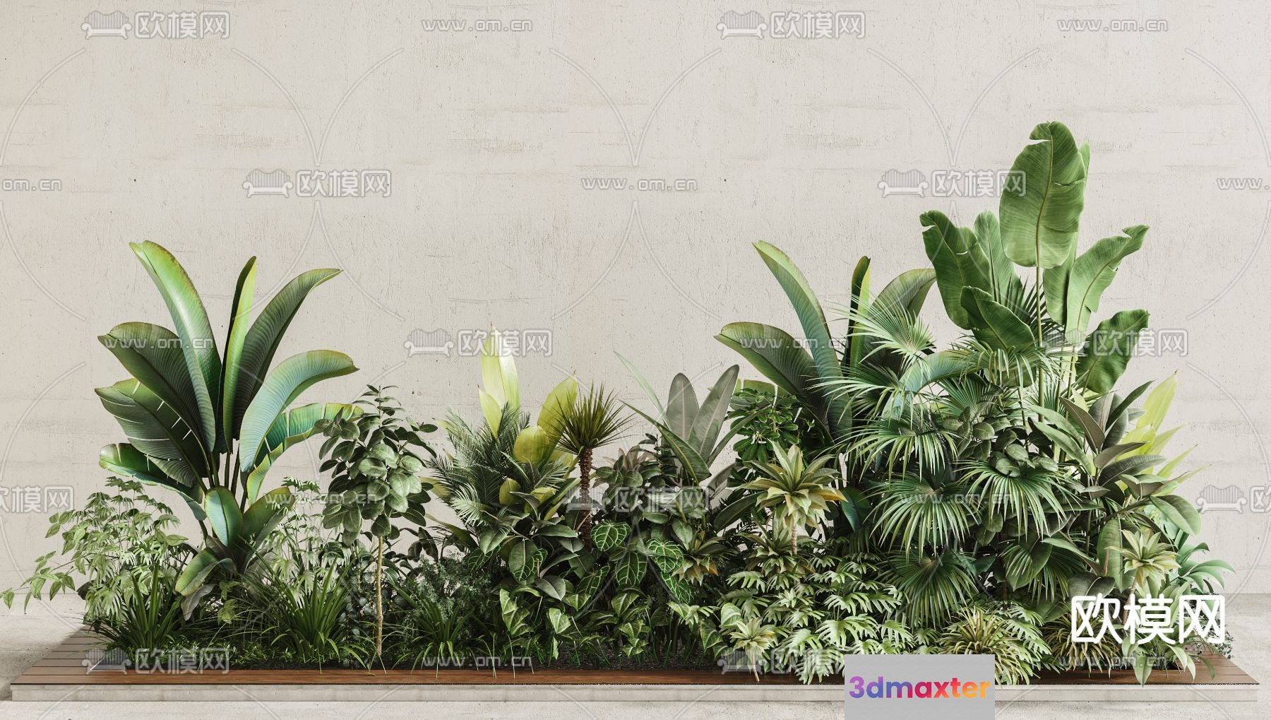 Green Tropical Plants 3D Model - 2244 - VRAY Render