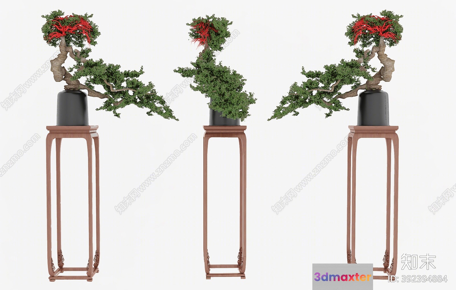 Three Small Trees In Pots 3D Model - 18803 - VRAY Render