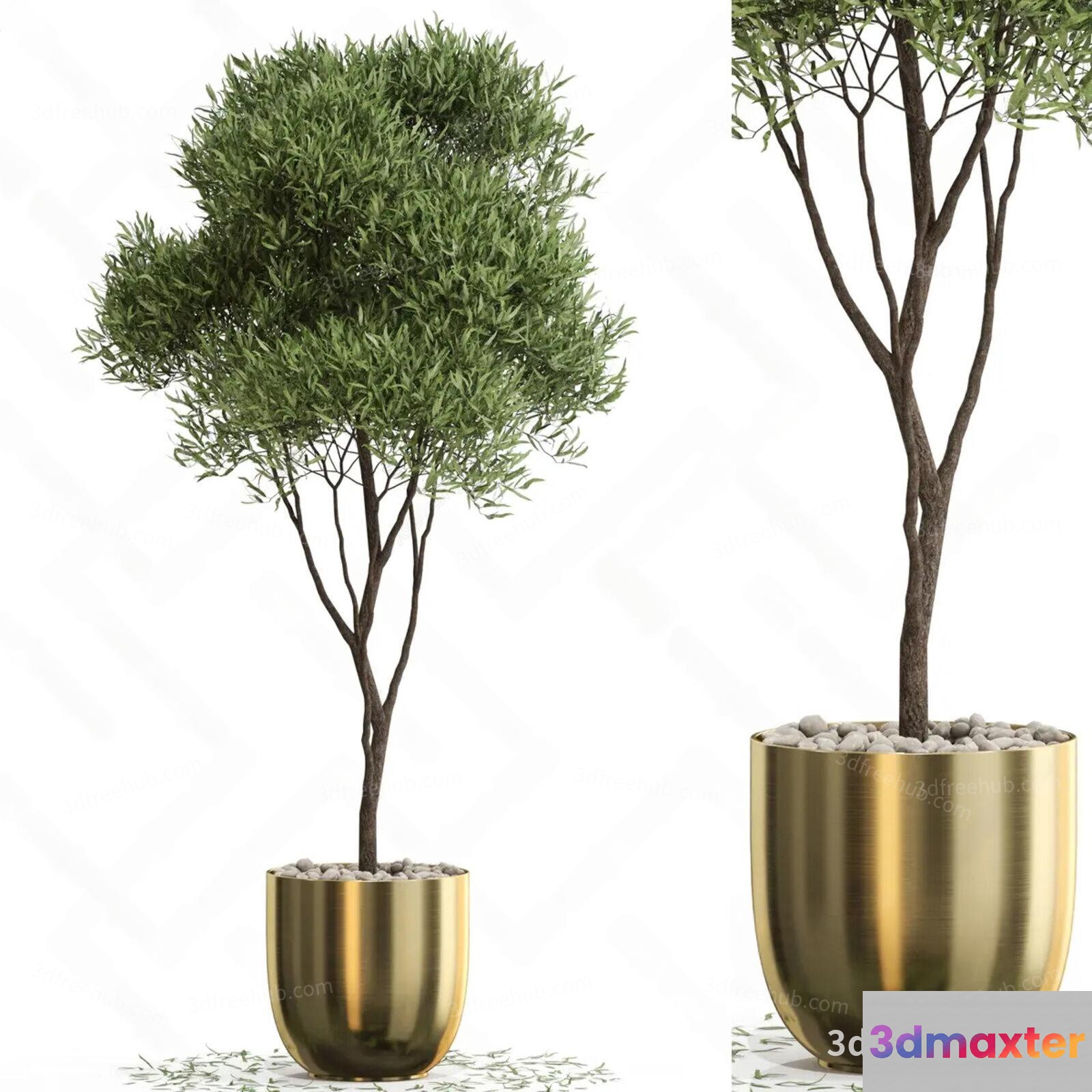 A 3D Model Of A Potted Plant 3D Model - 23479 - VRAY Render
